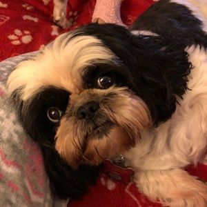 Meet your Posher, Sharleen